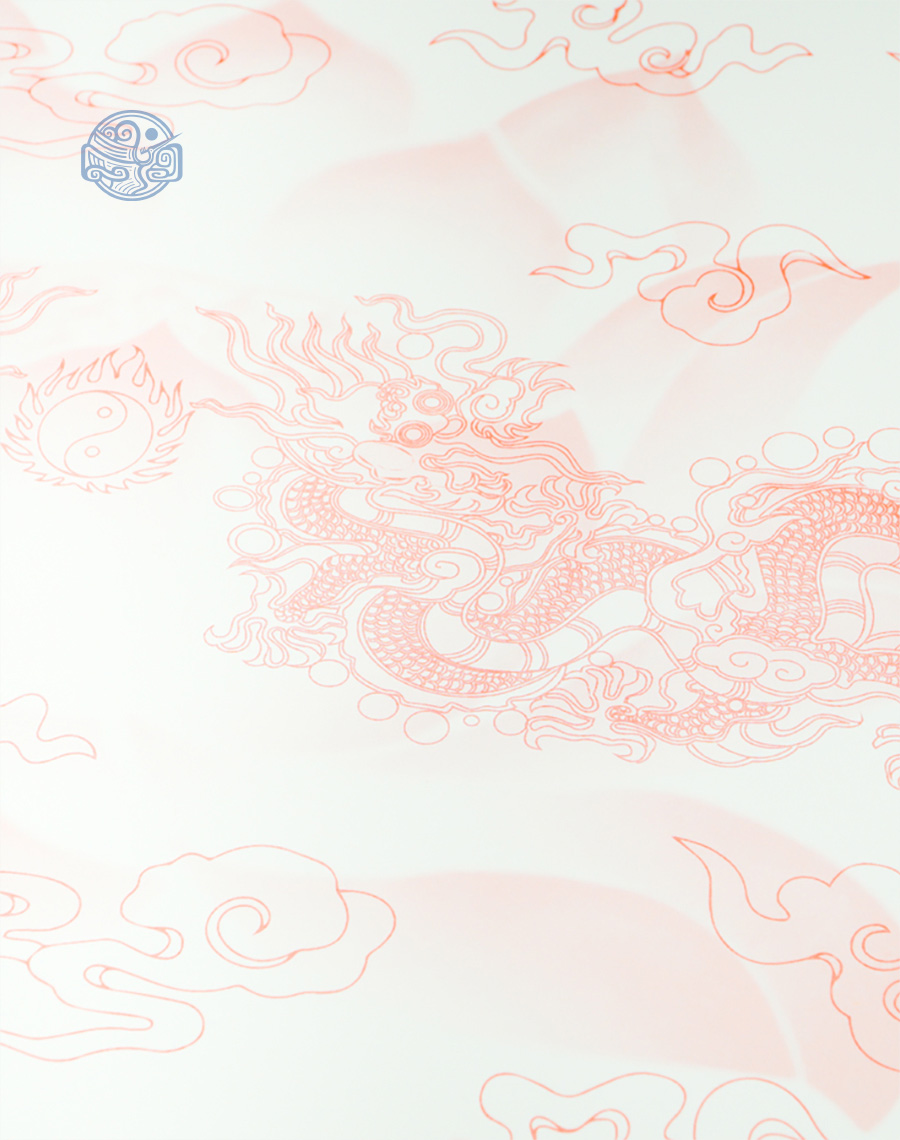 Vỏ sớ Long Vân Khánh Hội phổ thông - Ảnh 2