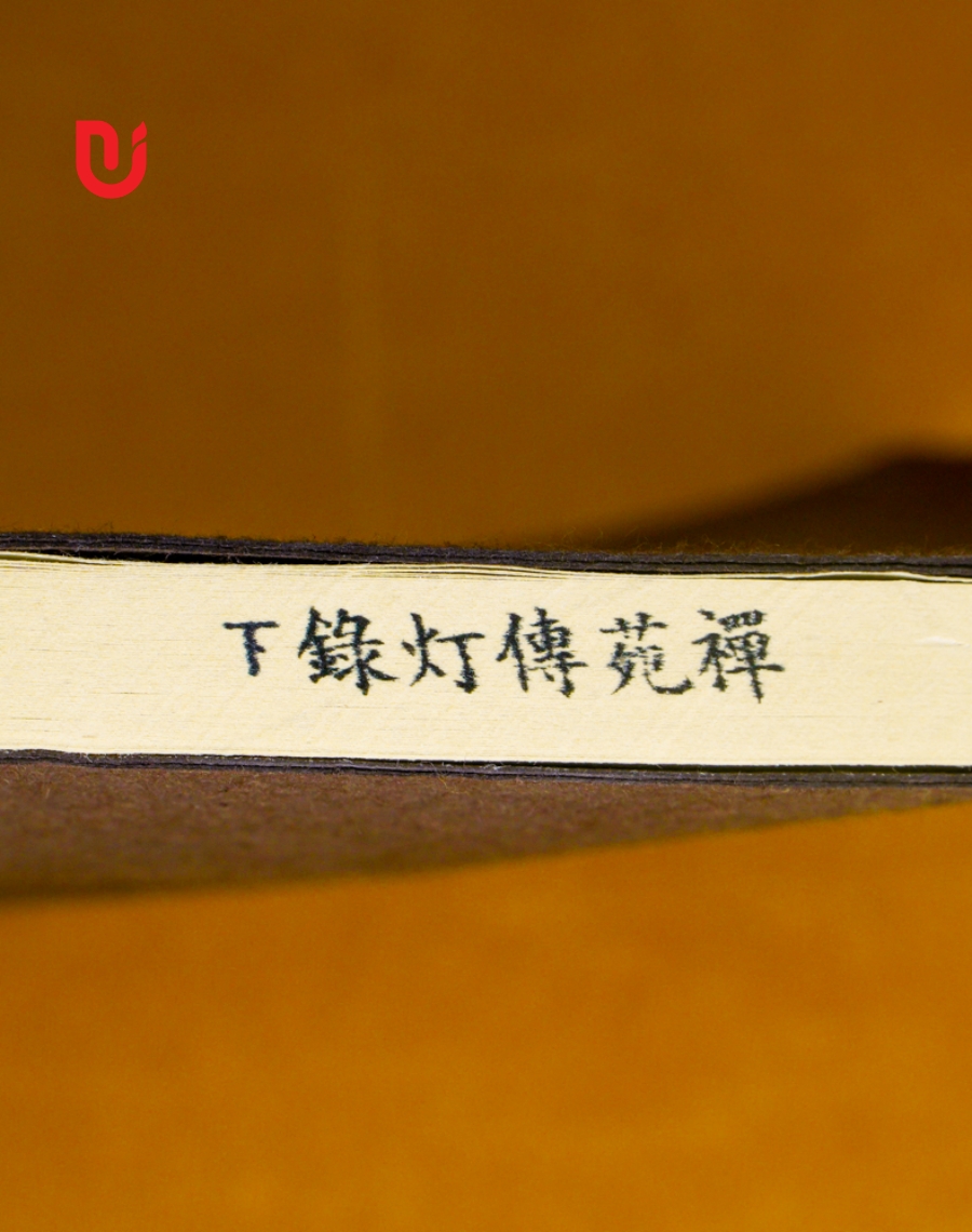 Thiền Uyển Truyền Đăng Lục (Bộ 2 tập) - Ảnh 3