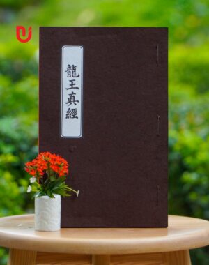 Long Vương Chân Kinh