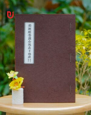 Phạm Võng Kinh Bồ Tát Tâm Địa Phẩm Hạ Lược Sớ (Bộ 4 tập)