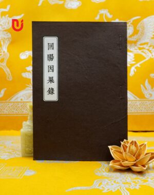 Hồi Dương Nhân Quả Lục