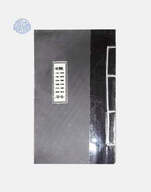 Sách cầu tự nho tuyến chỉ