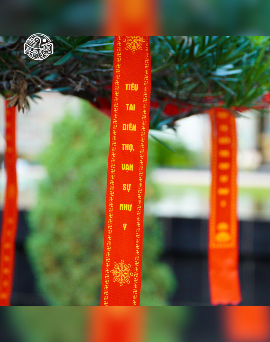 Dây cầu phúc - dây phúc đới vải - Ảnh 5